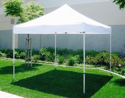 Canopy 10x10
