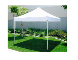 Canopy 10x10